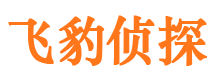 沧浪捉小三公司